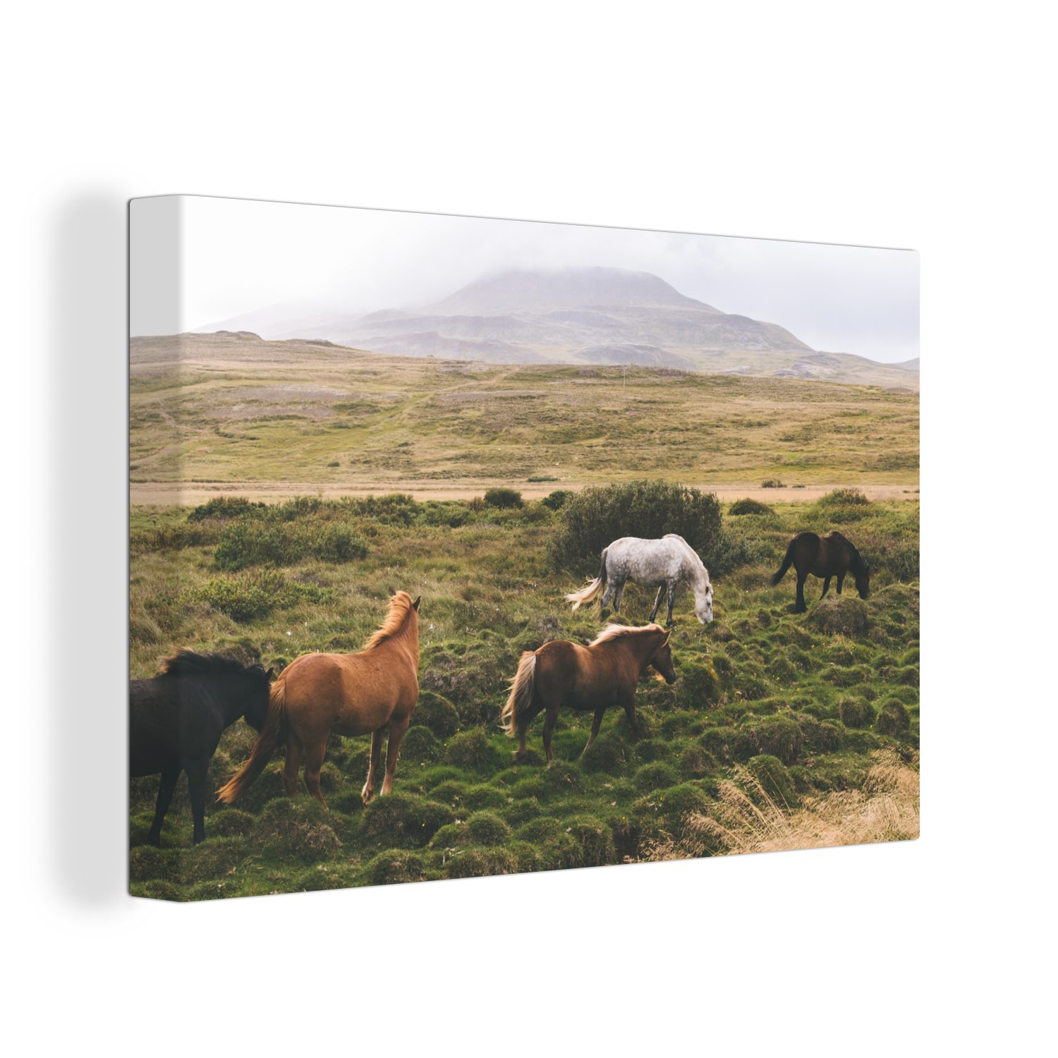 Pferde Leinwandbild Leinwandbilder, 30x20 Wandbild Braun, - - St), Wanddeko, Island (1 Aufhängefertig, OneMillionCanvasses® cm