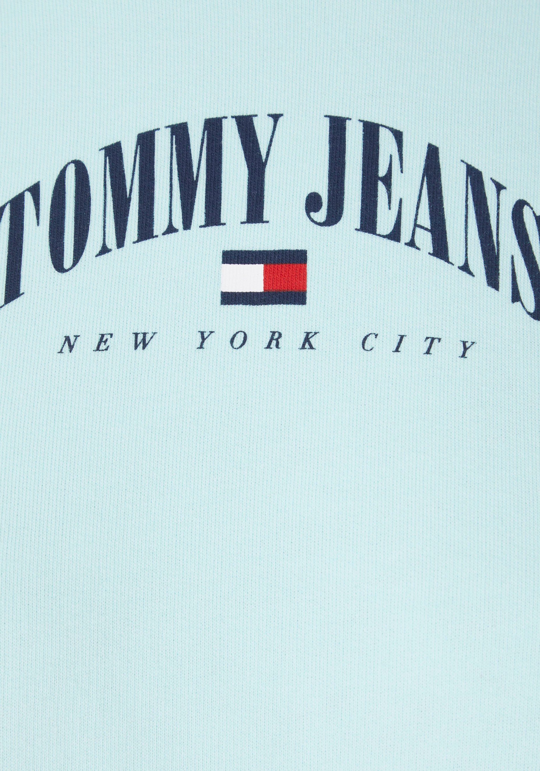 mit Jeans Tommy Jeans 2 LOGO Tommy RLX Logo HOODIE ESSENTIAL TJW Kapuzensweatshirt Aqua-Coast