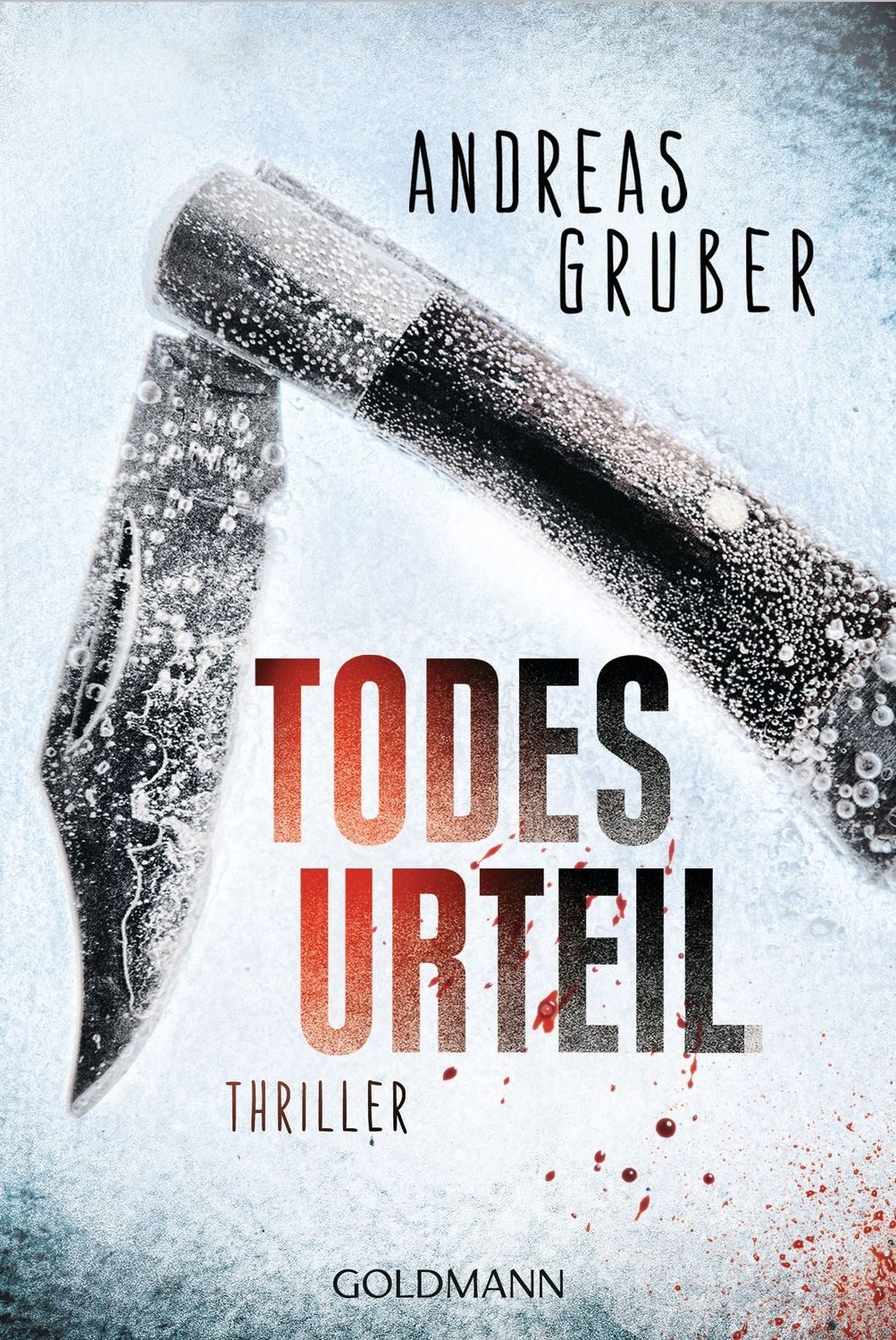 Todesurteil / Maarten S. Sneijder Band 2 / Andreas Gruber