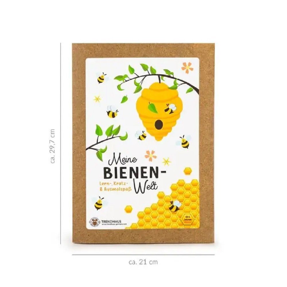 LK Trend & Style Lernspielzeug Meine BIENEN Freunde ACTIVITY-HEFT (Urlaub Reise Schlechtwettertage Unterwegs Ferien, Kratzbilder Lösungen Sticker), Lesen üben und alles über die Biene erfahren