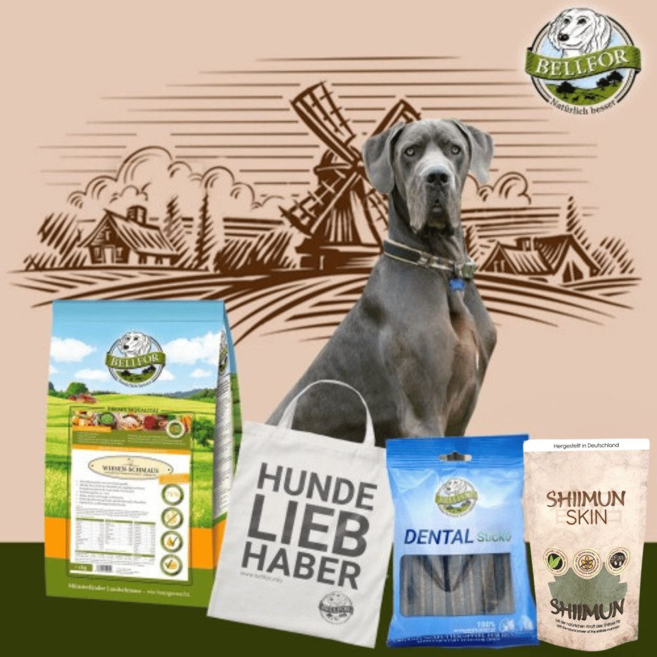 viscoschaum für hundebetten Hundebett VISCO orthopädisch weich und pflegeleicht main image 0