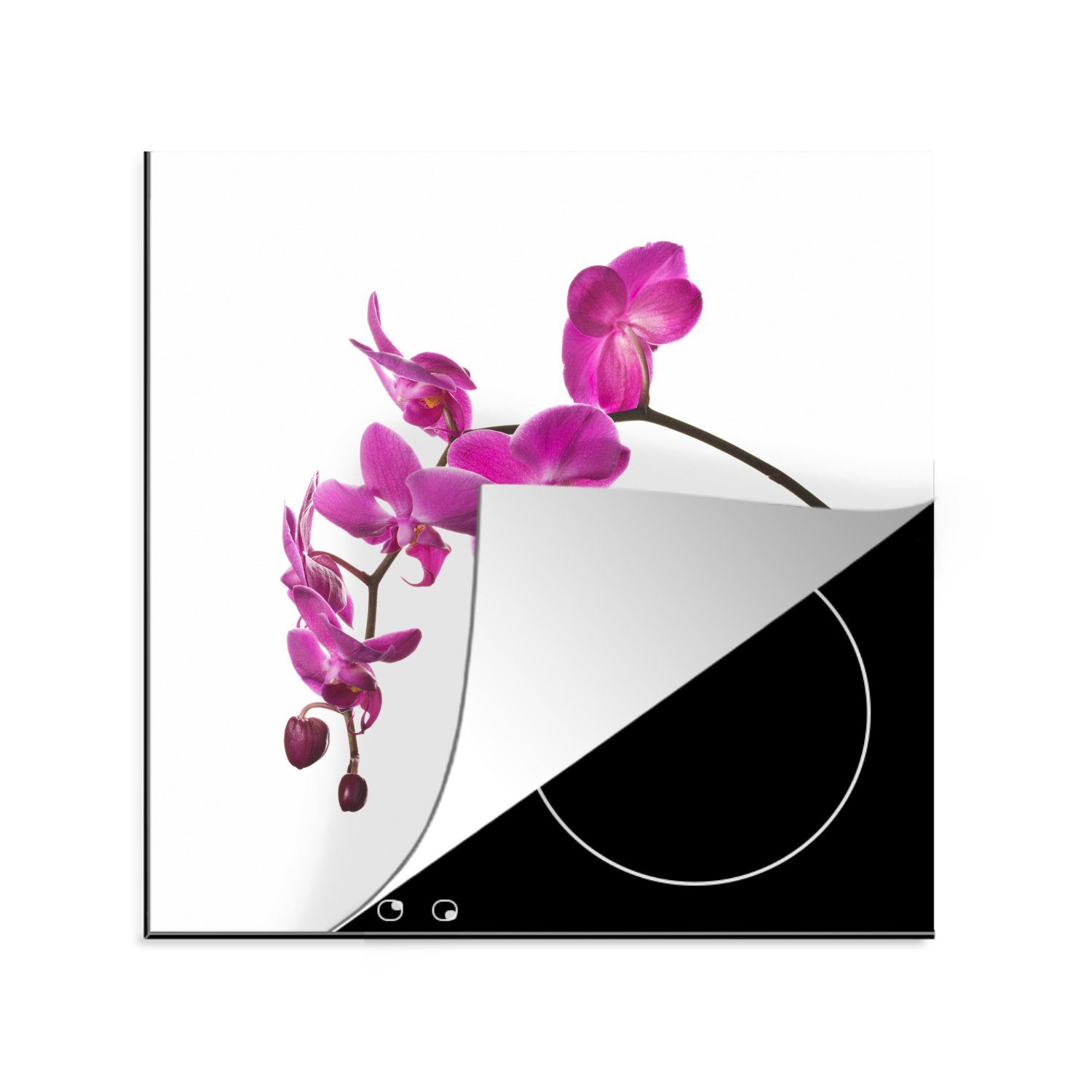 MuchoWow Herdblende-/Abdeckplatte Orchidee vor weißem Hintergrund, Vinyl, (1 tlg), 78x78 cm, Ceranfeldabdeckung, Arbeitsplatte für küche | Herdabdeckplatten