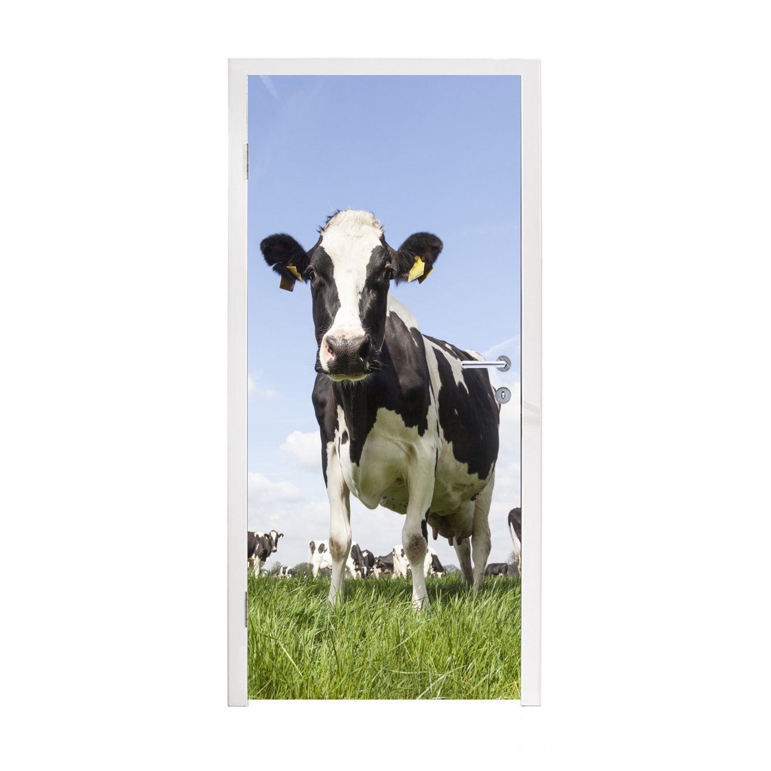 MuchoWow Türtapete Kühe - Gras - Tiere - Sonne - Bauernhof, Matt, bedruckt, (1 St), Fototapete für Tür, Türaufkleber, 75x205 cm