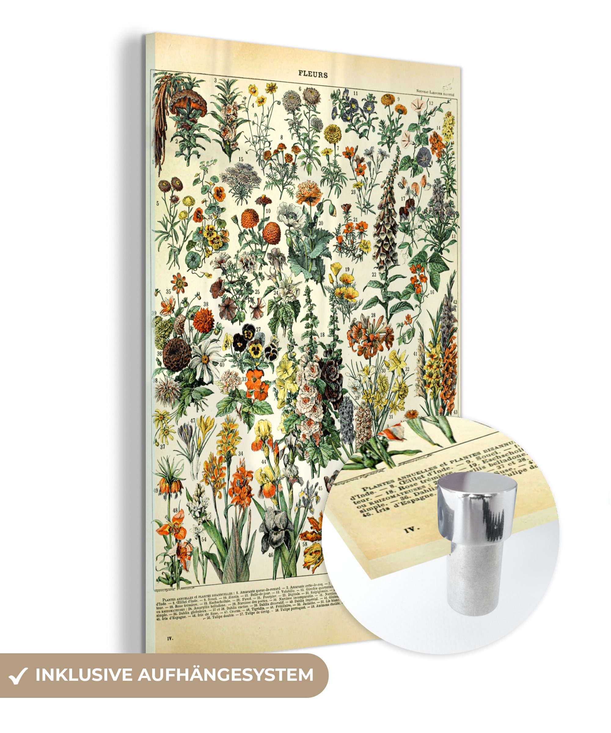 MuchoWow Acrylglasbild Blumen - Pflanzen - Vintage - Adolphe Millot - Kunst, (1 St), Glasbilder - Bilder auf Glas Wandbild - Foto auf Glas - Wanddekoration bunt | Bilder