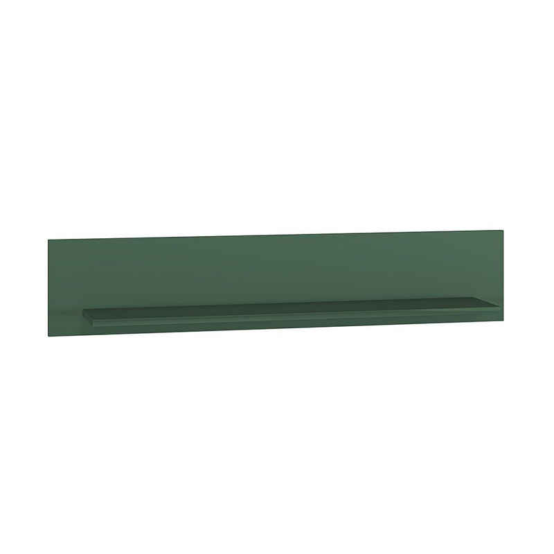 Lomadox Wandregal FASANO-131, in grün, B/H/T ca. 120/23/22 cm