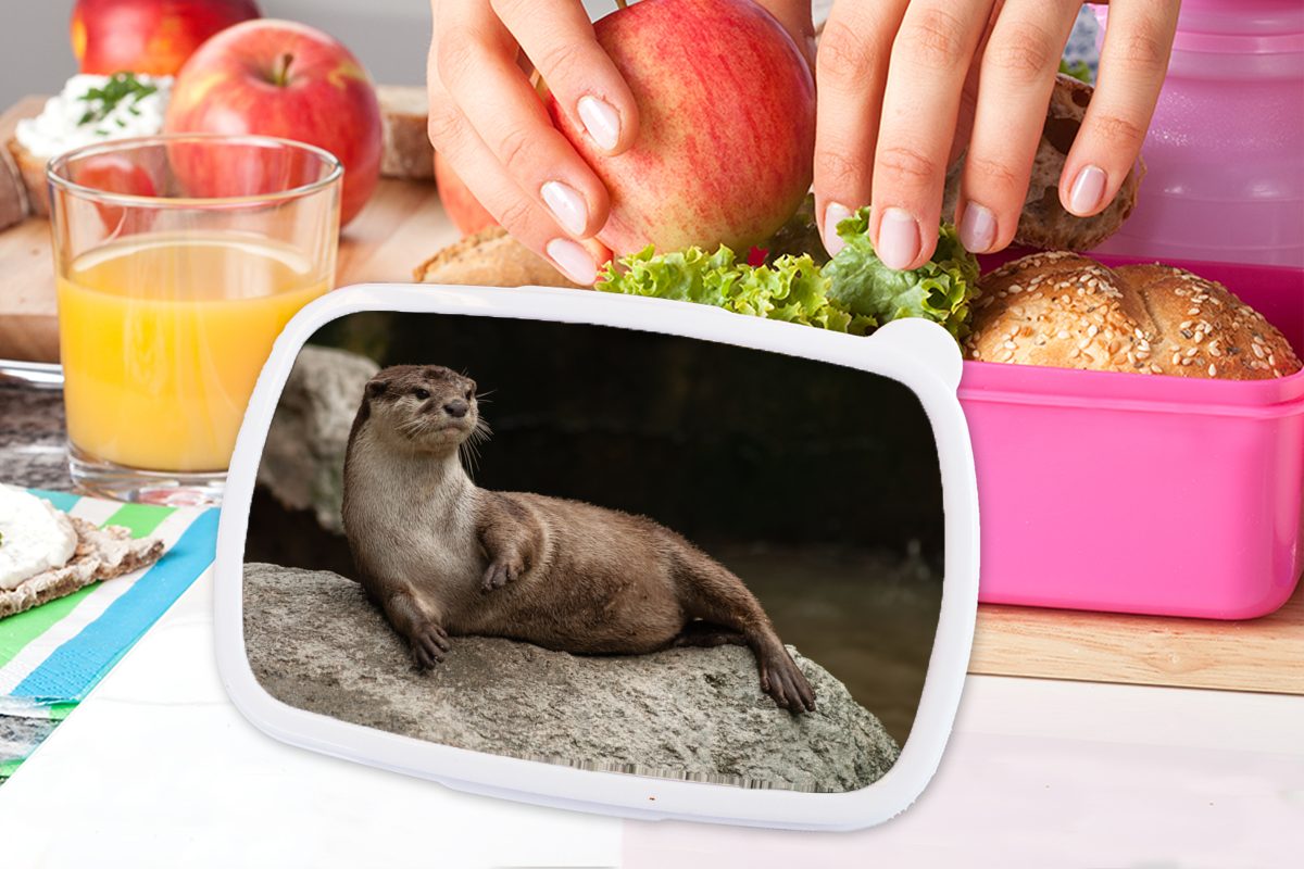 MuchoWow Lunchbox Otter auf Stein, Snackbox, für Mädchen, Brotdose Kunststoff, Erwachsene, Kinder, Kunststoff Brotbox rosa (2-tlg)