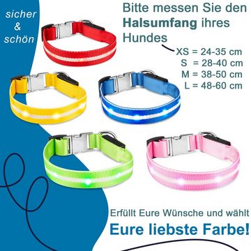 Petsation Hunde-Halsband Leuchthalsband für Hunde [Das Original] Leuchtendes LED Hundehalsband