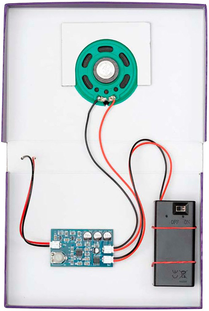Franzis Experimentierkasten Franzis: Checker Tobi CheXperiment Fledermaus-Check