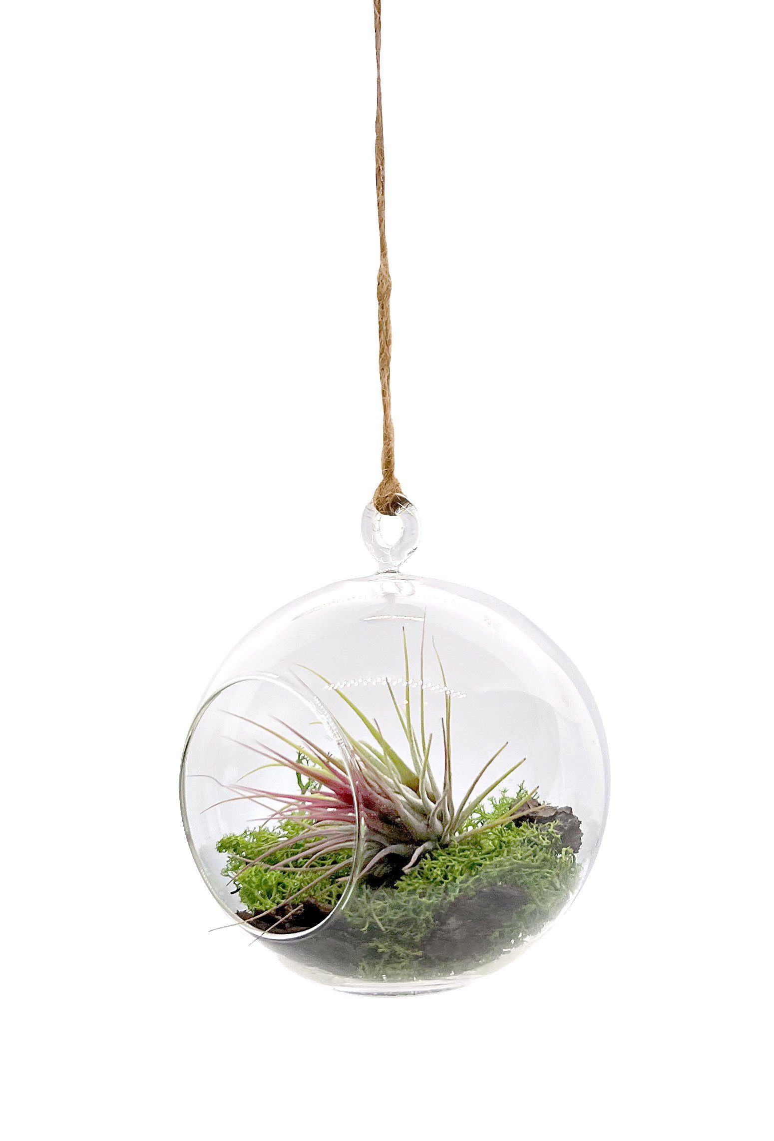 meinvipshop Hängedekoration Glas "handmade" St) Miniaturgarten zum 12cm im (1 aufhängen
