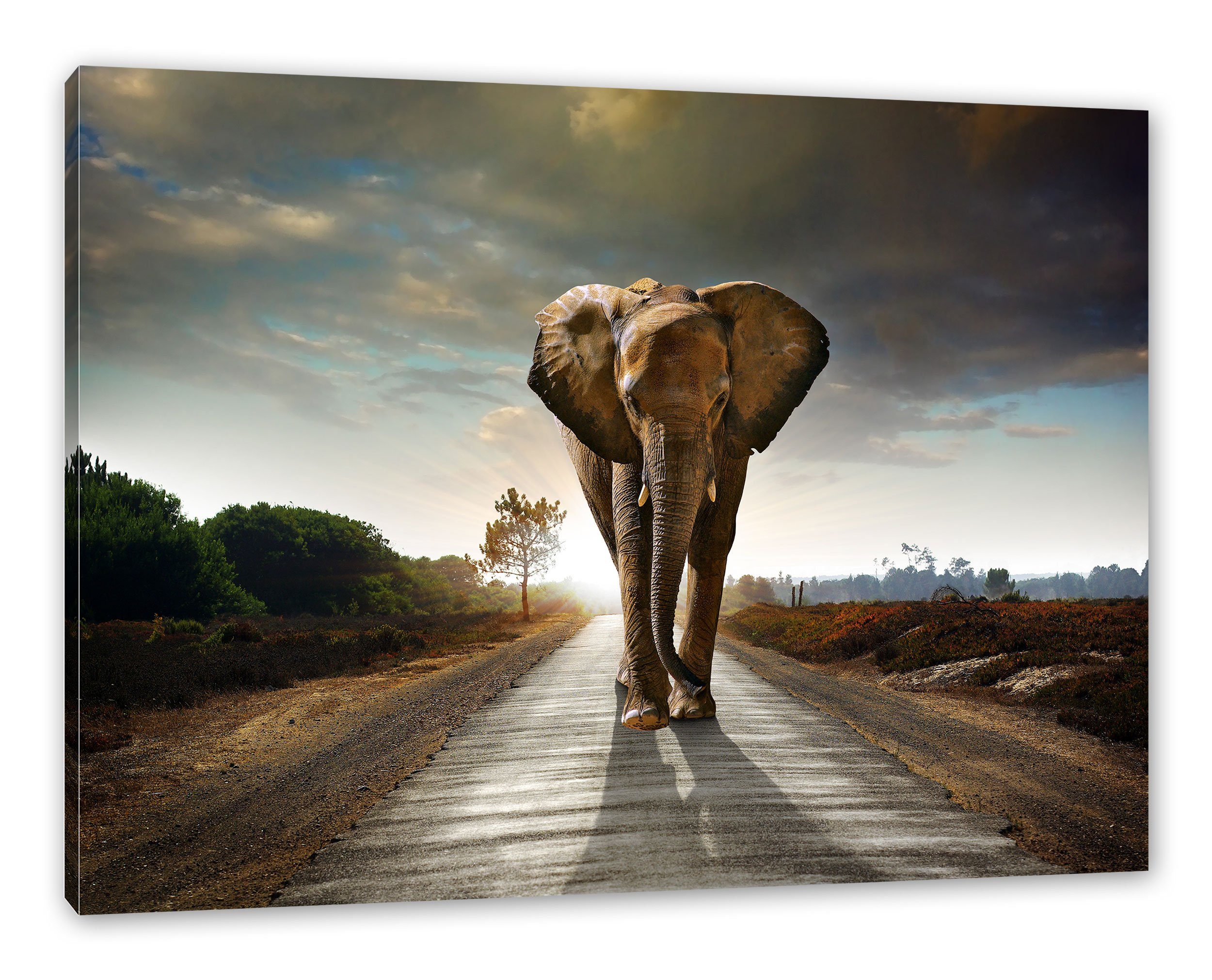 Neue Arbeit Pixxprint Leinwandbild Elefant frontal auf (1 laufend, St), auf inkl. Elefant Zackenaufhänger laufend frontal Straße Leinwandbild Straße fertig bespannt