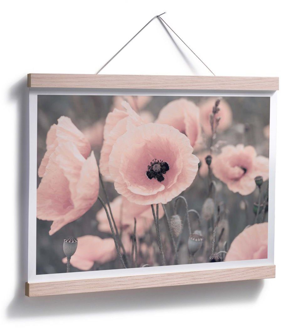 Wall-Art St) Mohnblume, Blumen Poster (1 Rosa