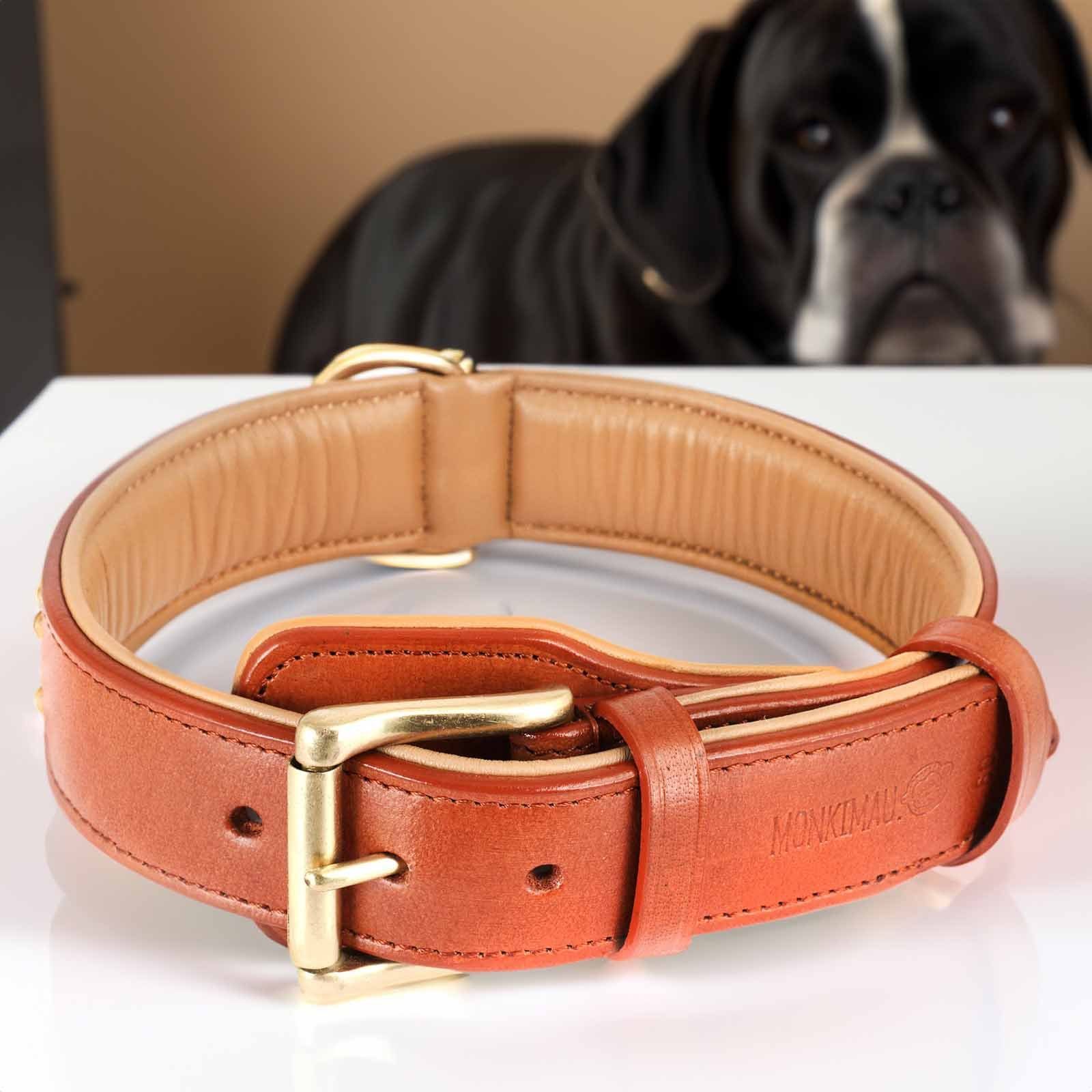 Monkimau Hunde-Halsband Hundehalsband aus Leder mit Nieten, Leder