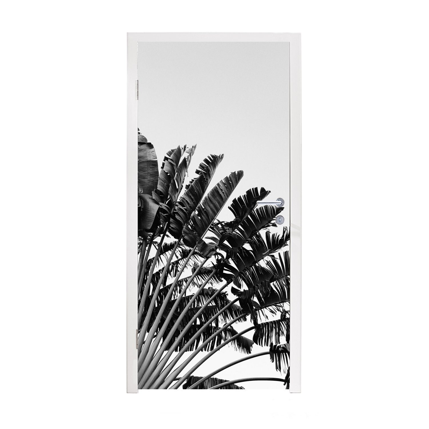 Türaufkleber, cm - Fototapete Türtapete Tropisch - bedruckt, Matt, Sommer, 75x205 St), (1 Palmenblatt für MuchoWow Tür,