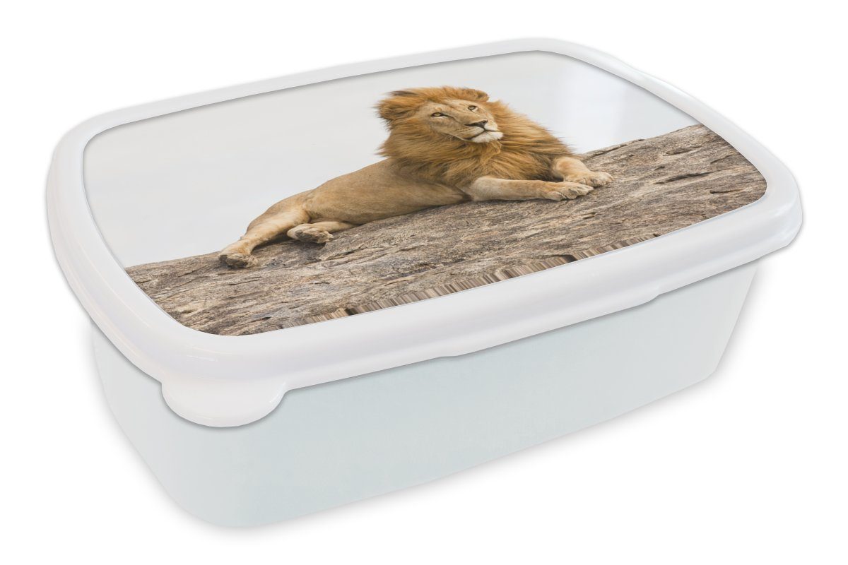 MuchoWow Lunchbox Löwe - Felsen - Wild, Kunststoff, (2-tlg), Brotbox für Kinder und Erwachsene, Brotdose, für Jungs und Mädchen weiß