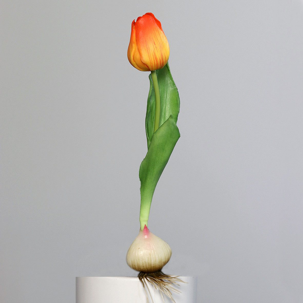 Kunstblume Tulpen Tulpe, DPI, Höhe 25 cm, Farbe: Orange, Motiv: Tulpe