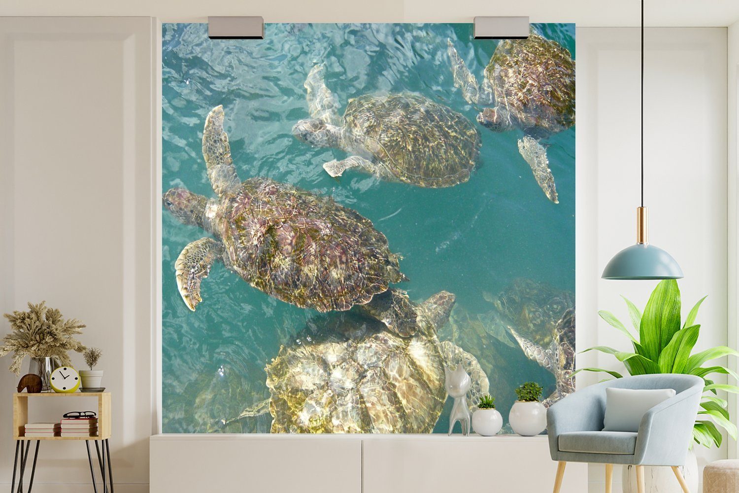 MuchoWow Fototapete Schildkröten Grand, bedruckt, Wasser (5 schwimmen Vinyl für Schlafzimmer, Matt, St), oder Wohnzimmer gemeinsam Tapete Wandtapete vor blauen klaren im