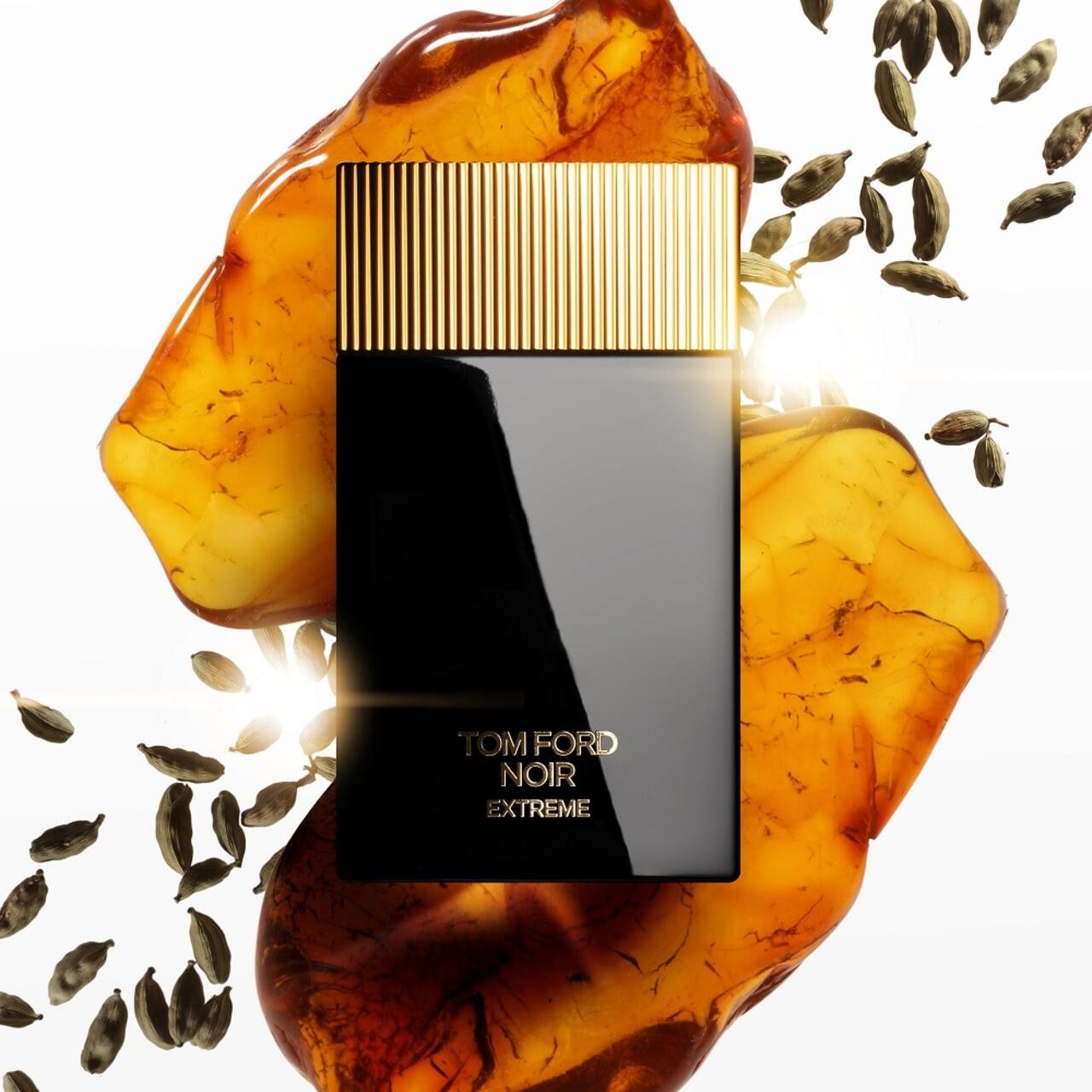 Tom Ford Eau de Parfum Noir Extreme EdP Nat. Spray, Herrenduft, holzig, frisch