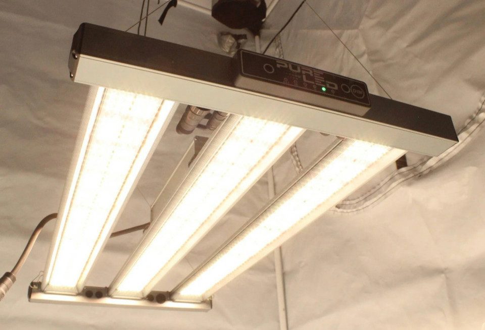 The Pure Factory Pflanzenlampe PureLED Pro V2.0 240 Watt, LED fest integriert