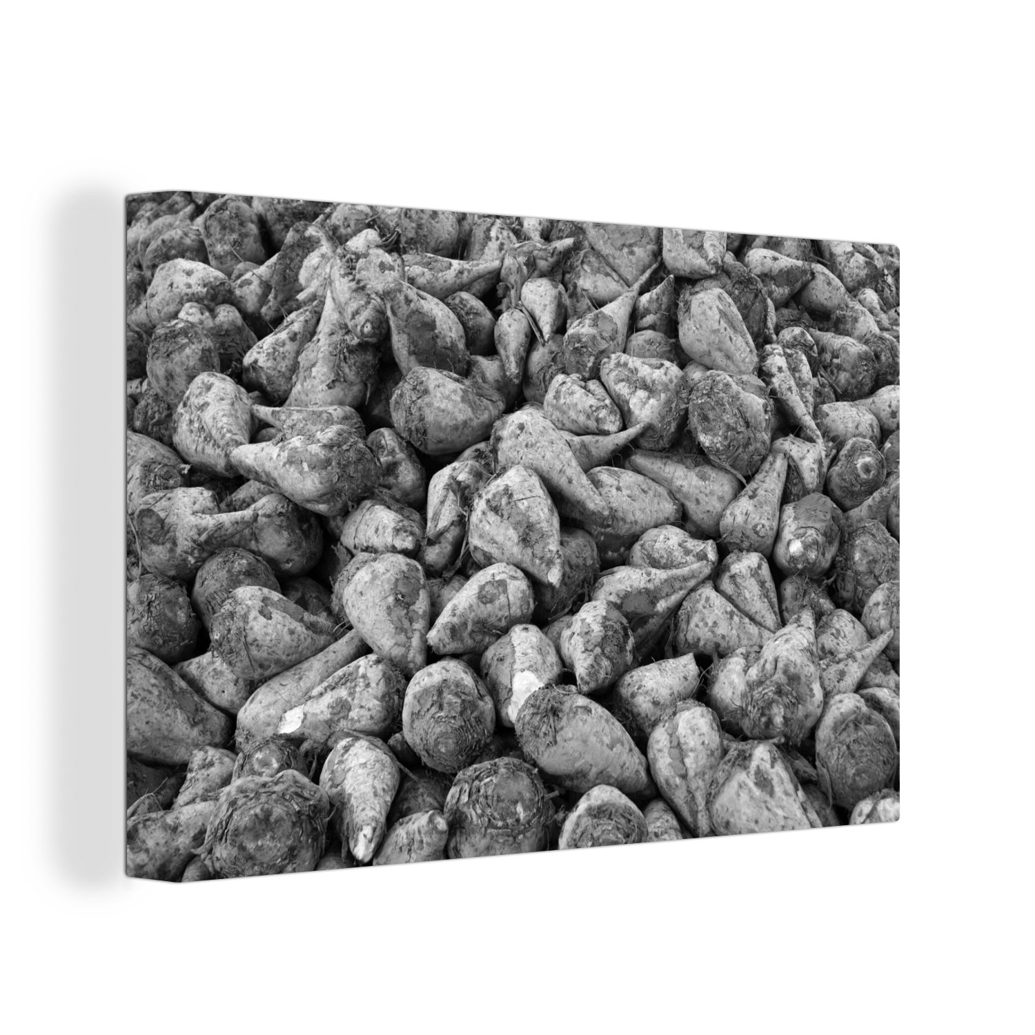OneMillionCanvasses® Leinwandbild Ein Haufen Zuckerrüben - schwarz und weiß, (1 St), Wandbild Leinwandbilder, Aufhängefertig, Wanddeko, 30x20 cm