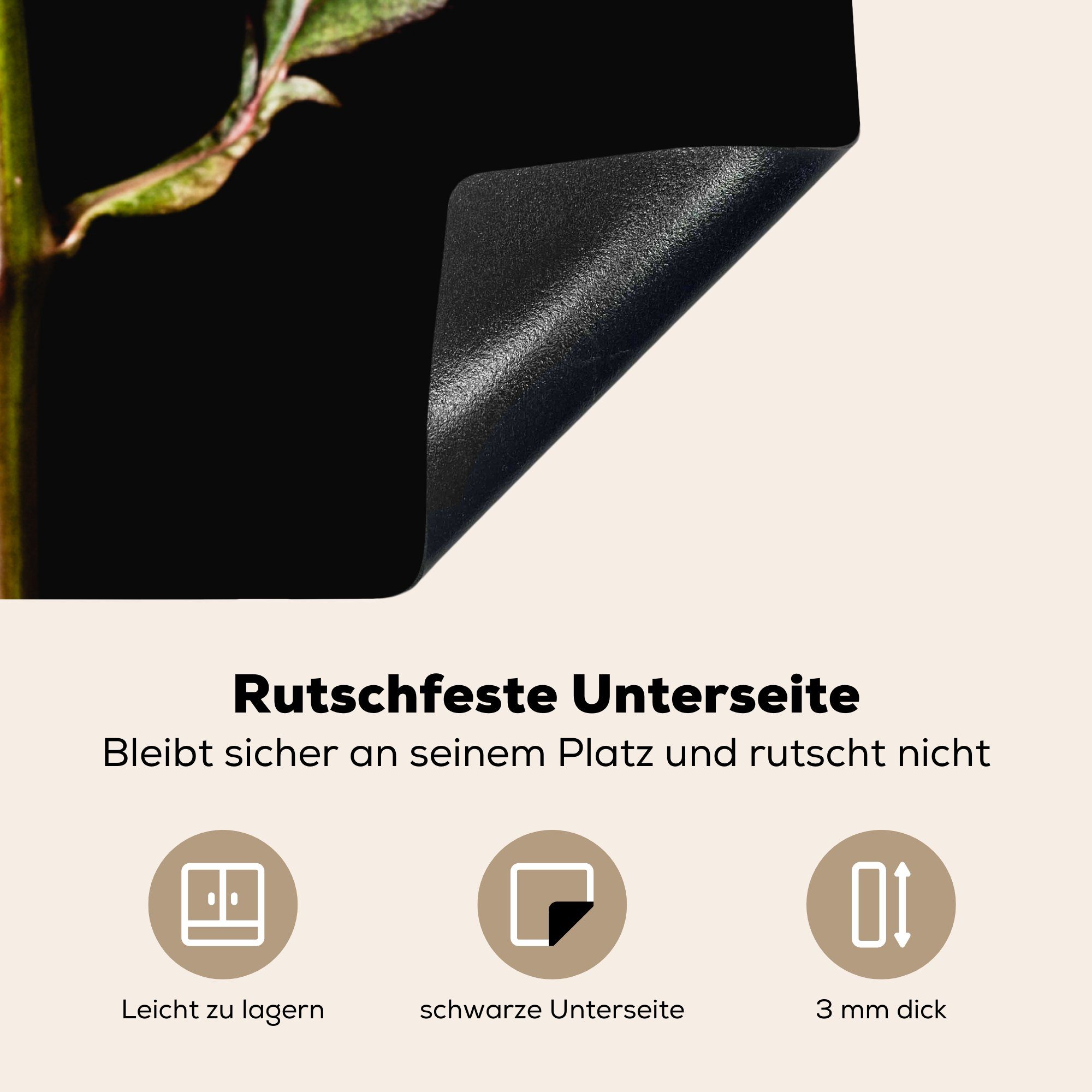 MuchoWow Herdblende-/Abdeckplatte Eine rote küche (1 Rose für auf Vinyl, 78x78 tlg), schwarzem Hintergrund, Ceranfeldabdeckung, cm, Arbeitsplatte