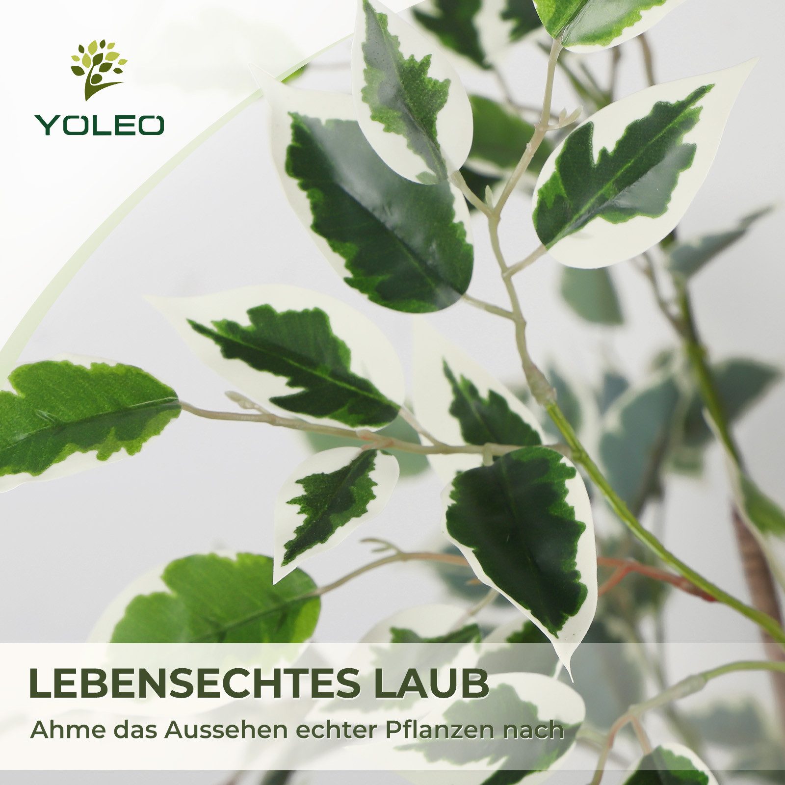 Kunstpflanze Künstliche Pflanzen Dracaena/ Ficus/ Bambus/ Olivenbaum, YOLEO, Höhe 160 cm, Kunstbaum für Dekor, Höhe 120cm/150cm/160cm/180cm/210cm