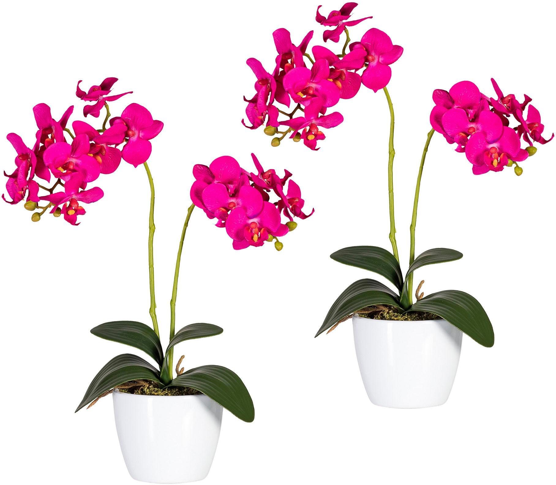 Kunstpflanze Phalaenopsis