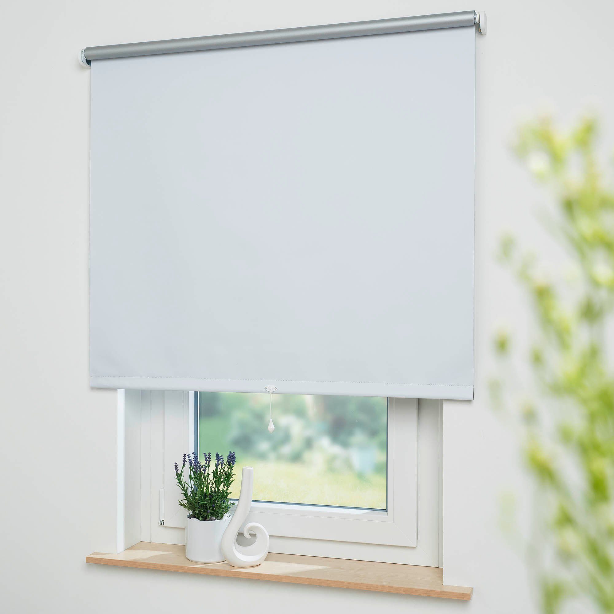 Springrollo Thermo-Rollo, Liedeco, verdunkelnd, freihängend, verschraubt, günstig online kaufen