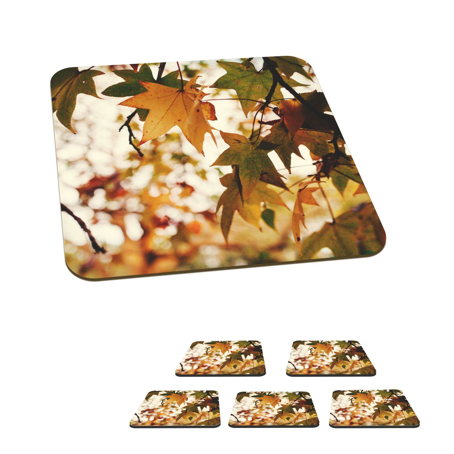 Glasuntersetzer Tischuntersetzer, für Korkuntersetzer, MuchoWow Zubehör - Natur Untersetzer, Tasse Gläser, - 6-tlg., Glasuntersetzer, Herbstblätter Rustikal,