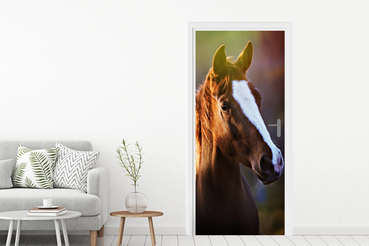 Pferd MuchoWow (1 Türaufkleber, Matt, St), für bedruckt, Türtapete Tür, - Fototapete Licht Mantel, 75x205 - cm