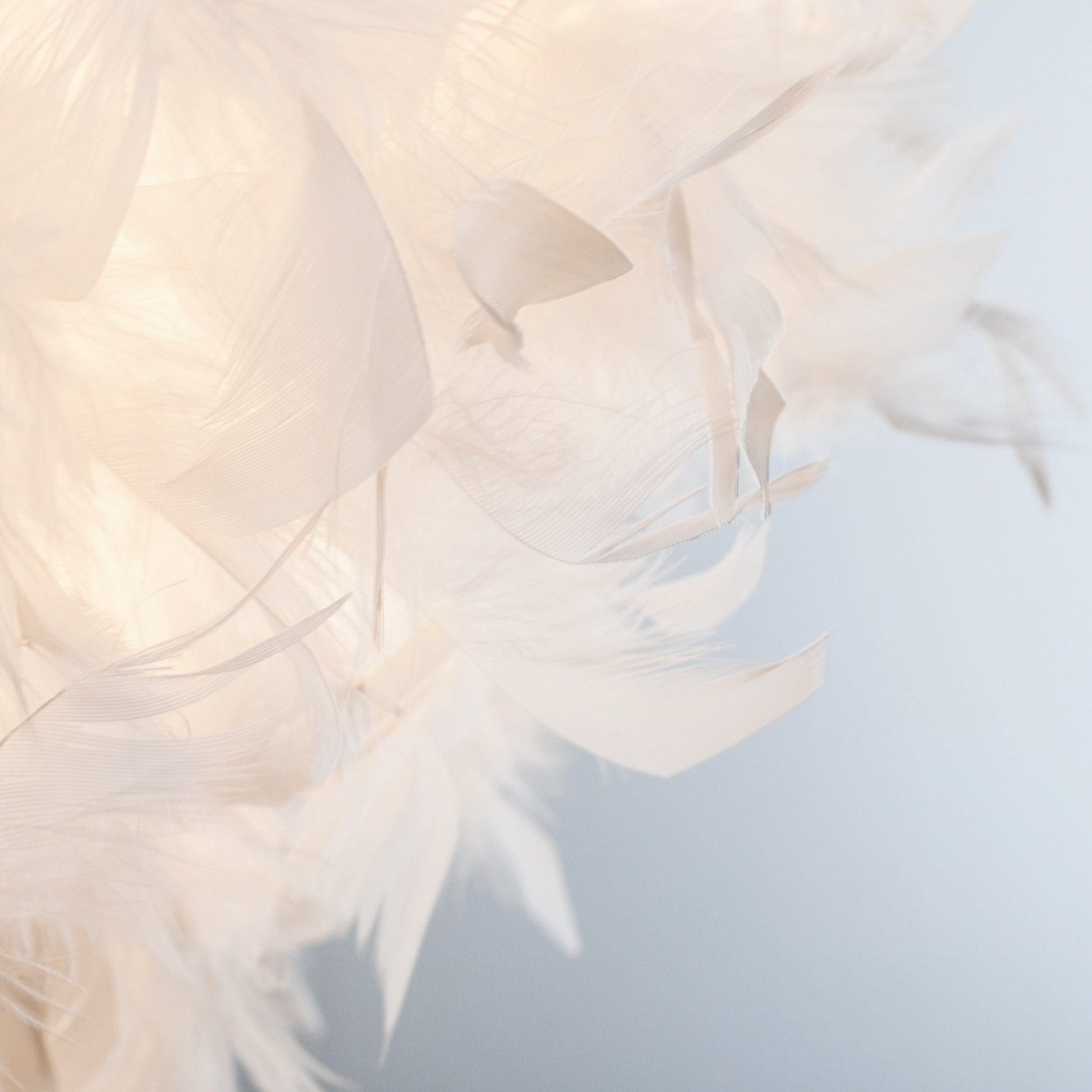 hofstein Pendelleuchte »Robella« moderne Hängelampe aus Metall/Kunststoff mit Federn in Weiß, ohne Leuchtmittel, Ø45cm, Höhe 130cm (kürzbar), E27