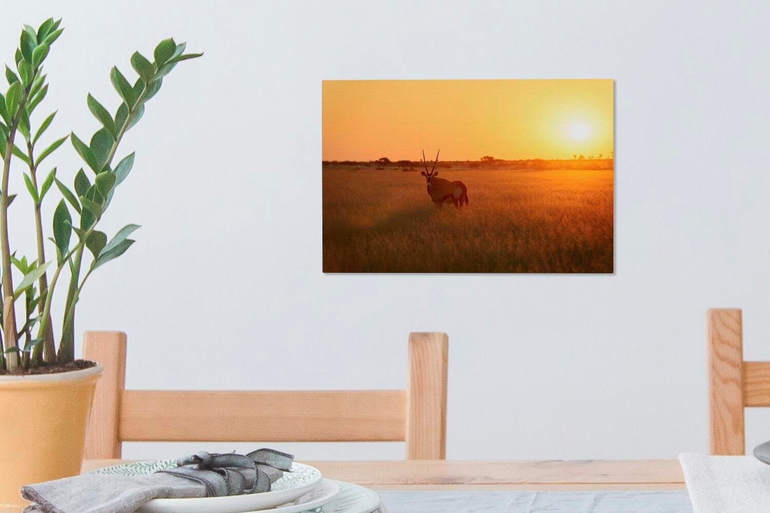 Leinwandbilder, OneMillionCanvasses® (1 Kalahari Wildreservat 30x20 Sonnenuntergang im St), cm Wanddeko, Leinwandbild Zentral in Aufhängefertig, Afrika, Wandbild
