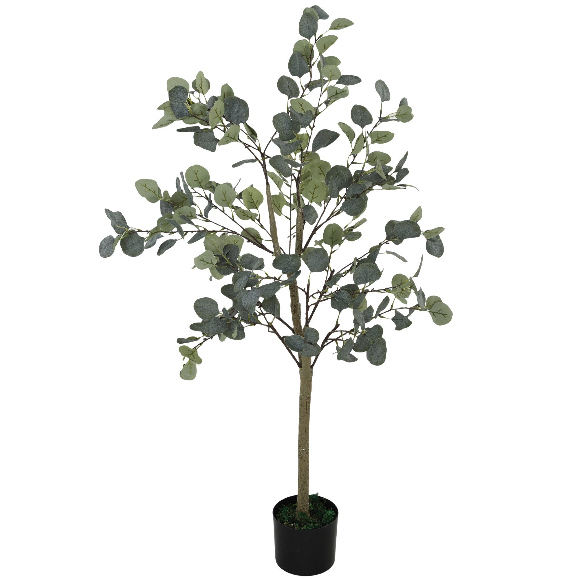Kunstpflanze Künstlicher Eucalyptus Baum, HOMCOM, Höhe 150 cm, Kunstbaum wi günstig online kaufen