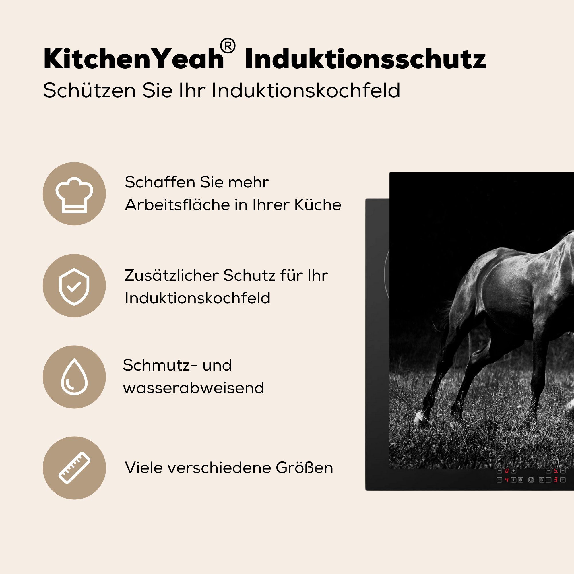 Arbeitsplatte Ceranfeldabdeckung, Pferde Weiß, küche Schwarz 83x51 (1 - cm, Gras Herdblende-/Abdeckplatte - Vinyl, für - tlg), MuchoWow
