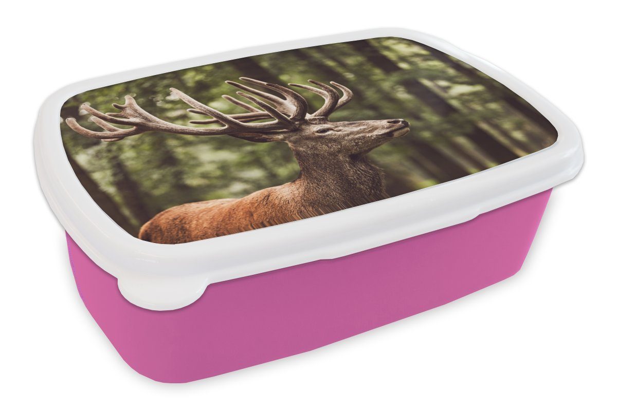im Hirsche Wald, Kunststoff Brotbox MuchoWow Kunststoff, rosa Snackbox, Erwachsene, Lunchbox Brotdose Kinder, Mädchen, (2-tlg), für