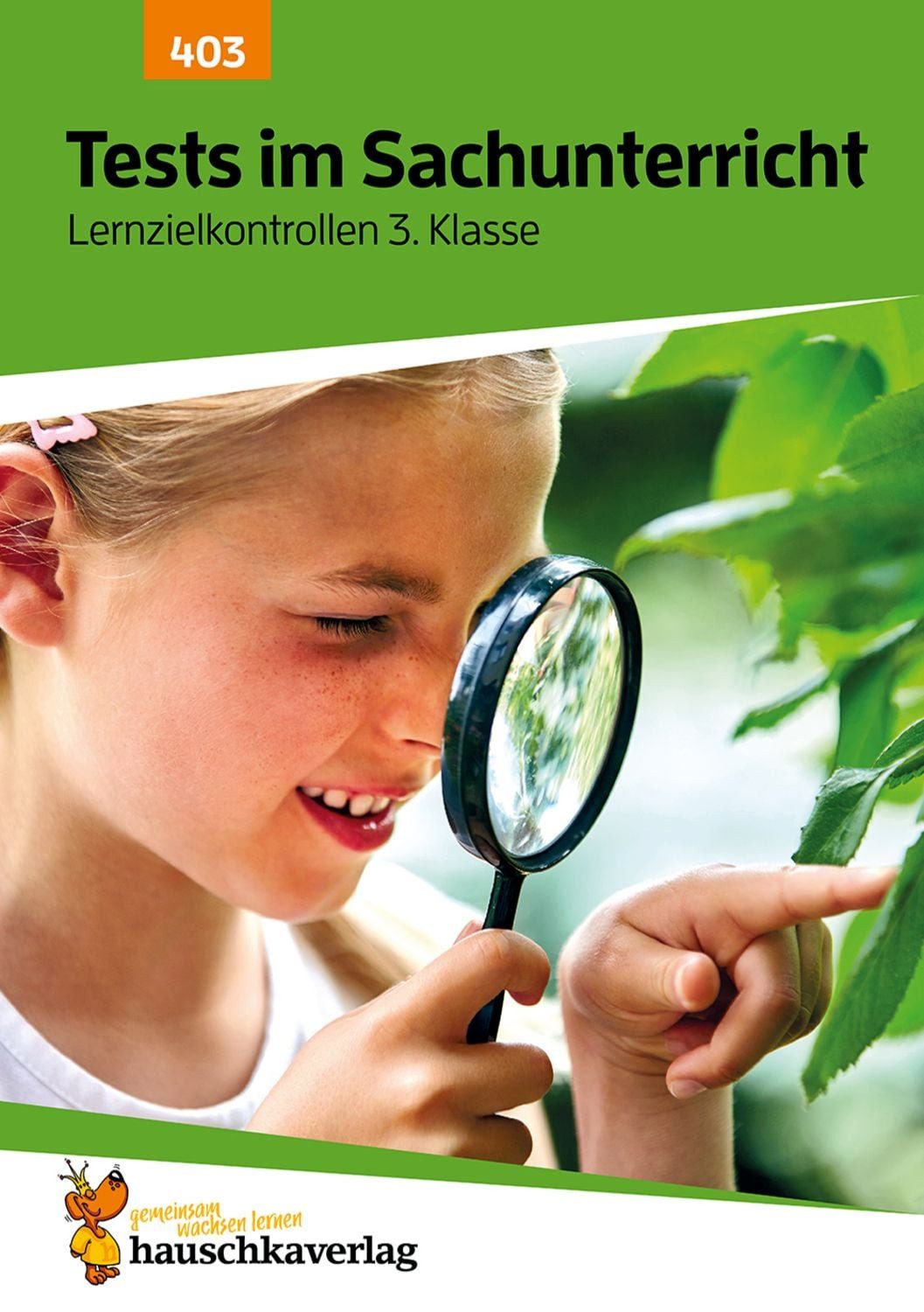 Übungsheft mit Tests im Sachunterricht 3. Klasse / Andrea Guckel
