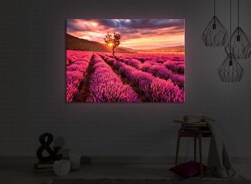 lightbox-multicolor LED-Bild Provence mit einsamen Baum front lighted / 60x40cm, Leuchtbild mit Fernbedienung
