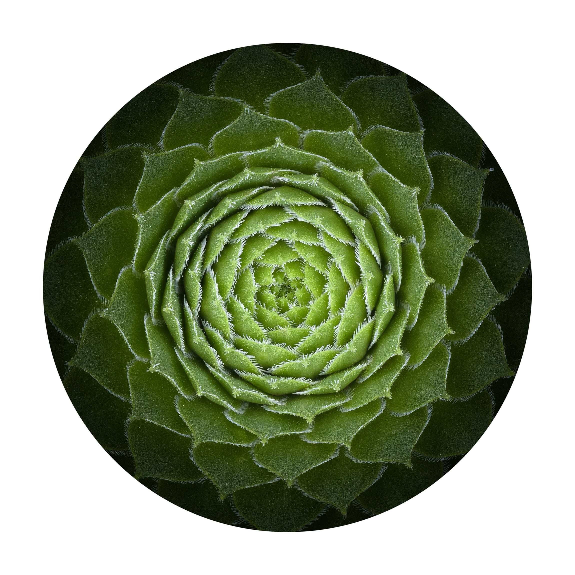 Bilderdepot24 Teppich Vinyl Wohnzimmer Schlafzimmer Flur Küche Mandala modern, rund - schwarz glatt, nass wischbar (Küche, Tierhaare) - Saugroboter & Bodenheizung geeignet