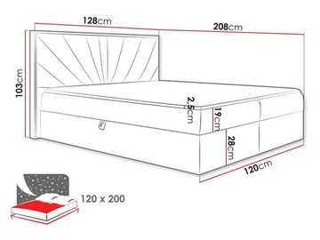 MIRJAN24 Boxspringbett Wood VII (mit zwei Bettkästen für die Bettwäsche), Polsterkopfteil, Topper, Bonellfederkern