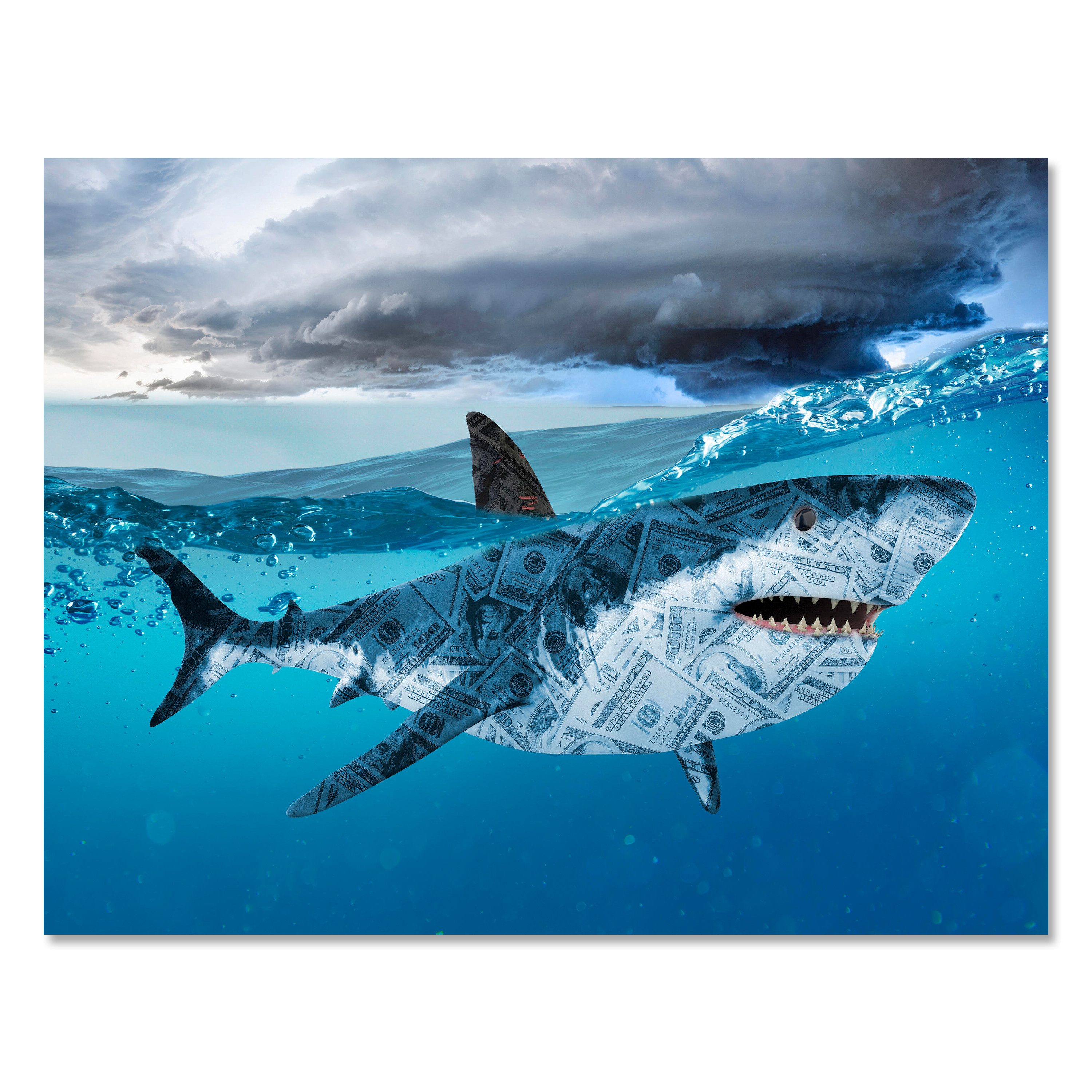 wandmotiv24 Leinwandbild Motivation, Querformat, Hai Moneyshark