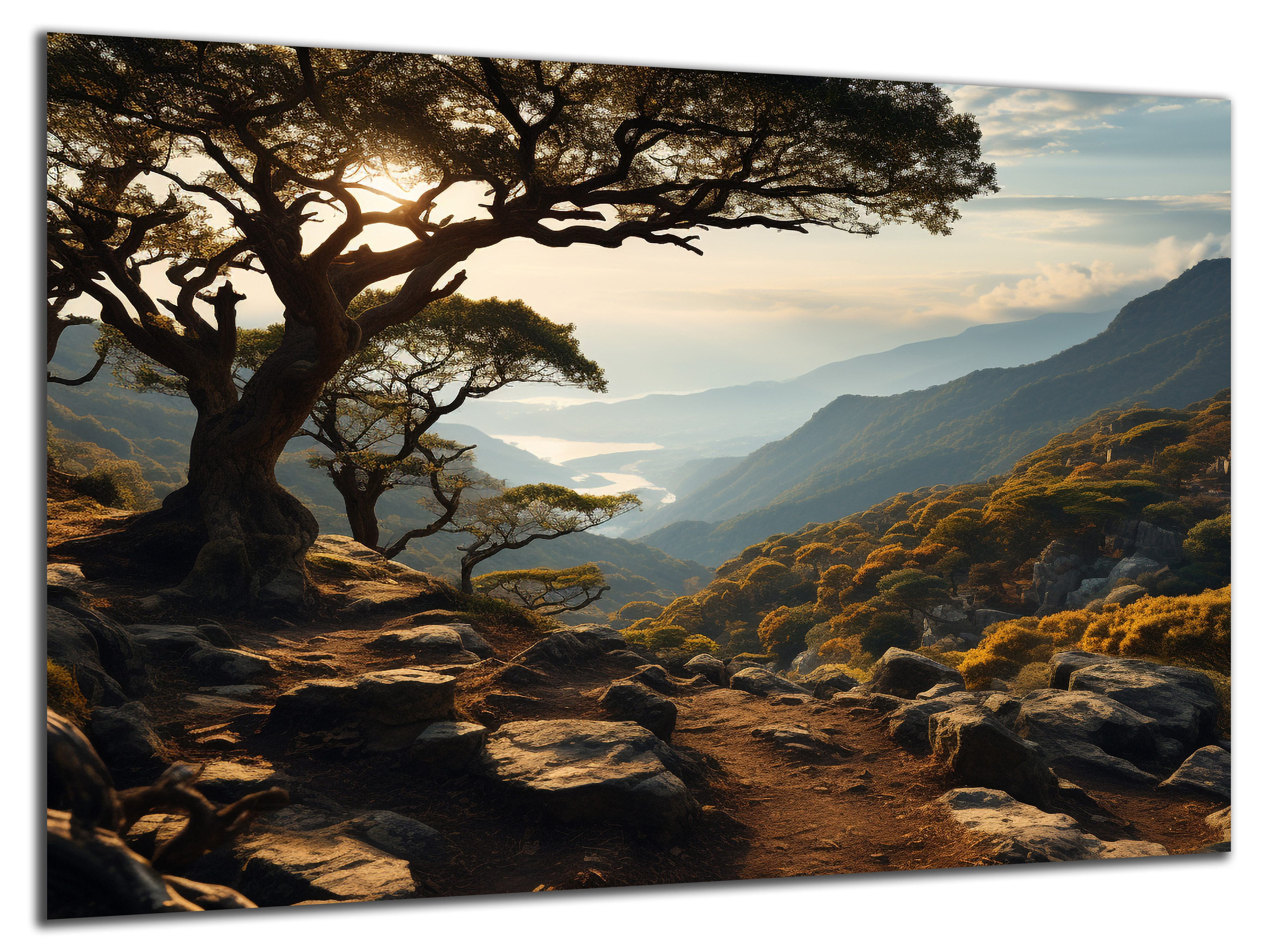 DARO Design Leinwandbild Modern Abstrakt Wandbilder XXL Wandbild Wand Deko Leinwand Bilder, (Olivenbaum - Bild groß Wohnzimmer Schlafzimmer Küche Esszimmer Einteilig Querformat Fotodruck Leinwände Wanddeko Abstrakte Kunst Boho), 30x20cm