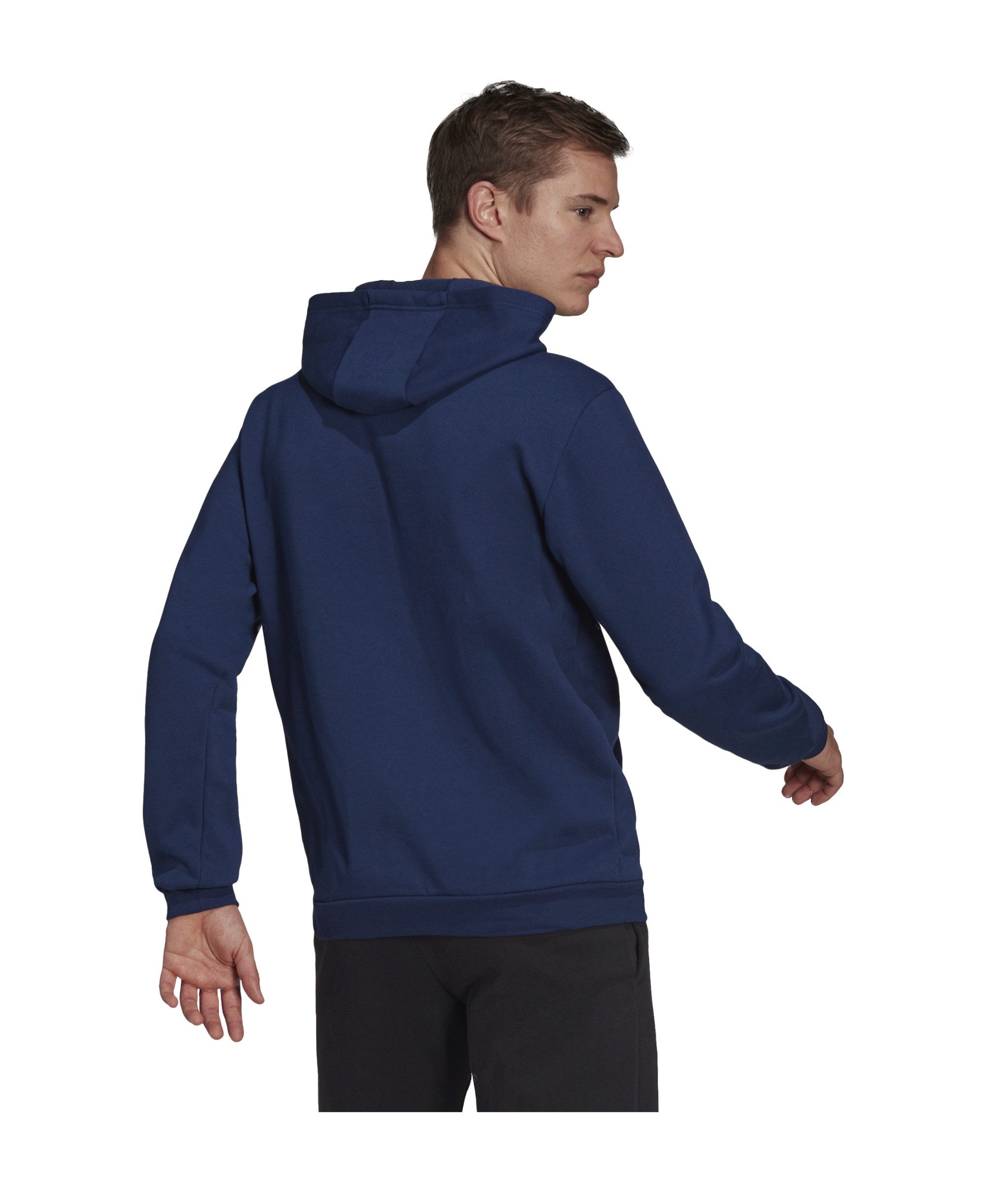adidas Performance Sweatshirt adidas Performance Entrada 22 Hoody Herren Ba günstig online kaufen