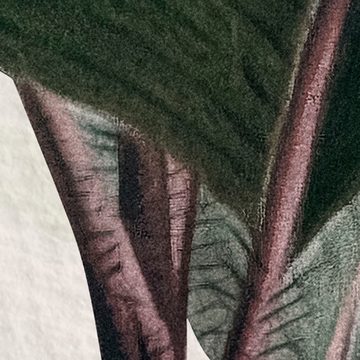 Komar Fototapete Vlies Fototapete - Jungle Spot - Розмір 400 x 250 cm, glatt, bedruckt, (Packung, 1 St)