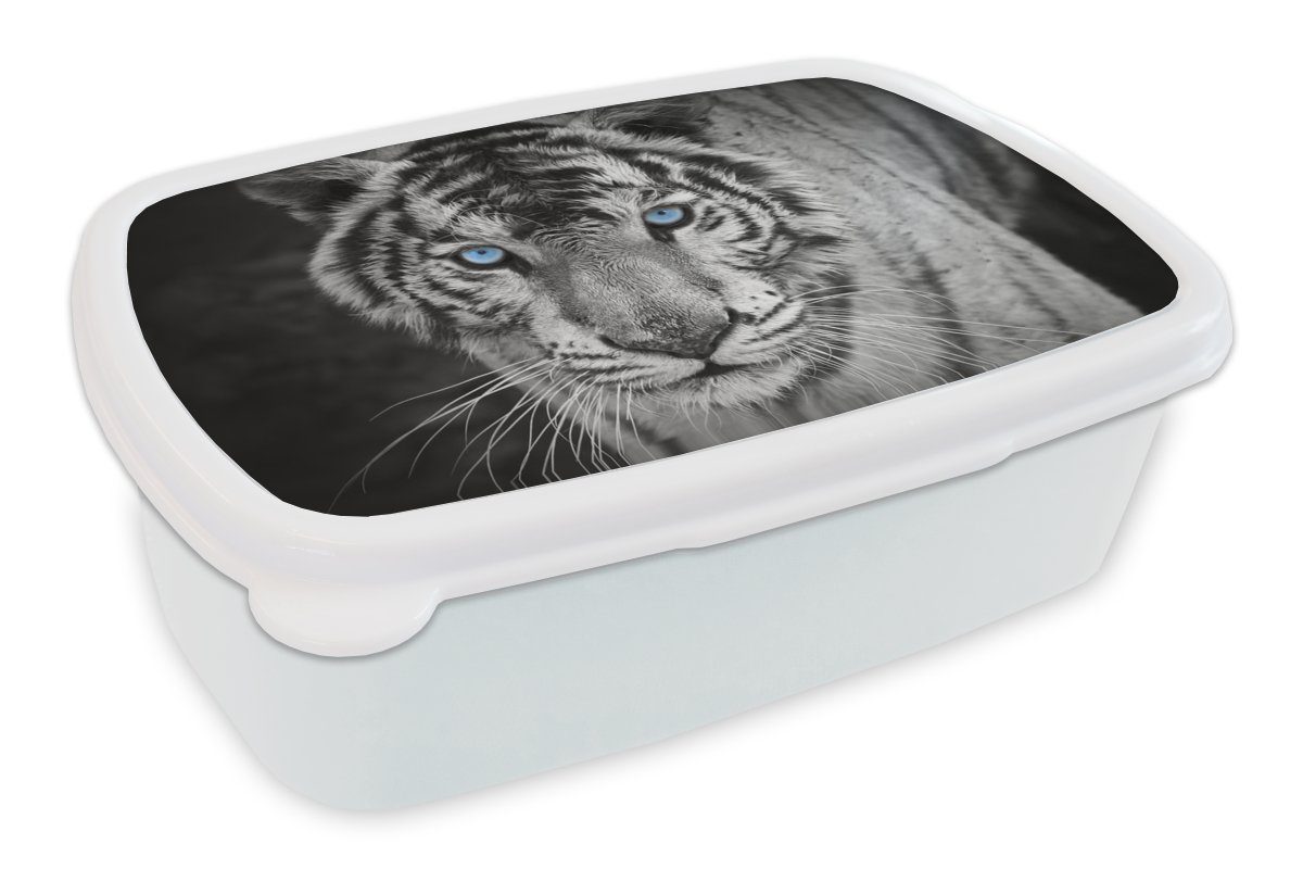 - für Brotbox Jungs und Kunststoff, weiß und Tiere Tiger Mädchen Augen (2-tlg), Erwachsene, - für Schwarz Blau, und MuchoWow Lunchbox Brotdose, Kinder - -