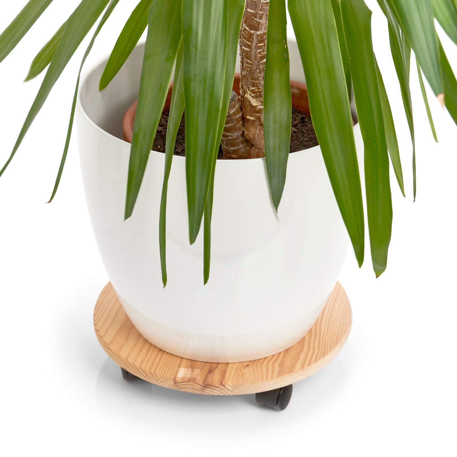 Zeller Present Pflanzenroller Zeller Pflanzenroller Ø 35 cm Stabil & Mobil günstig online kaufen