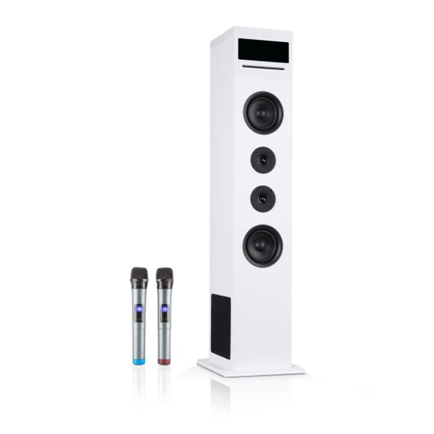 Auna Karaboom 100 Sing Party-Lautsprecher (Bluetooth;WLAN, 60 W)