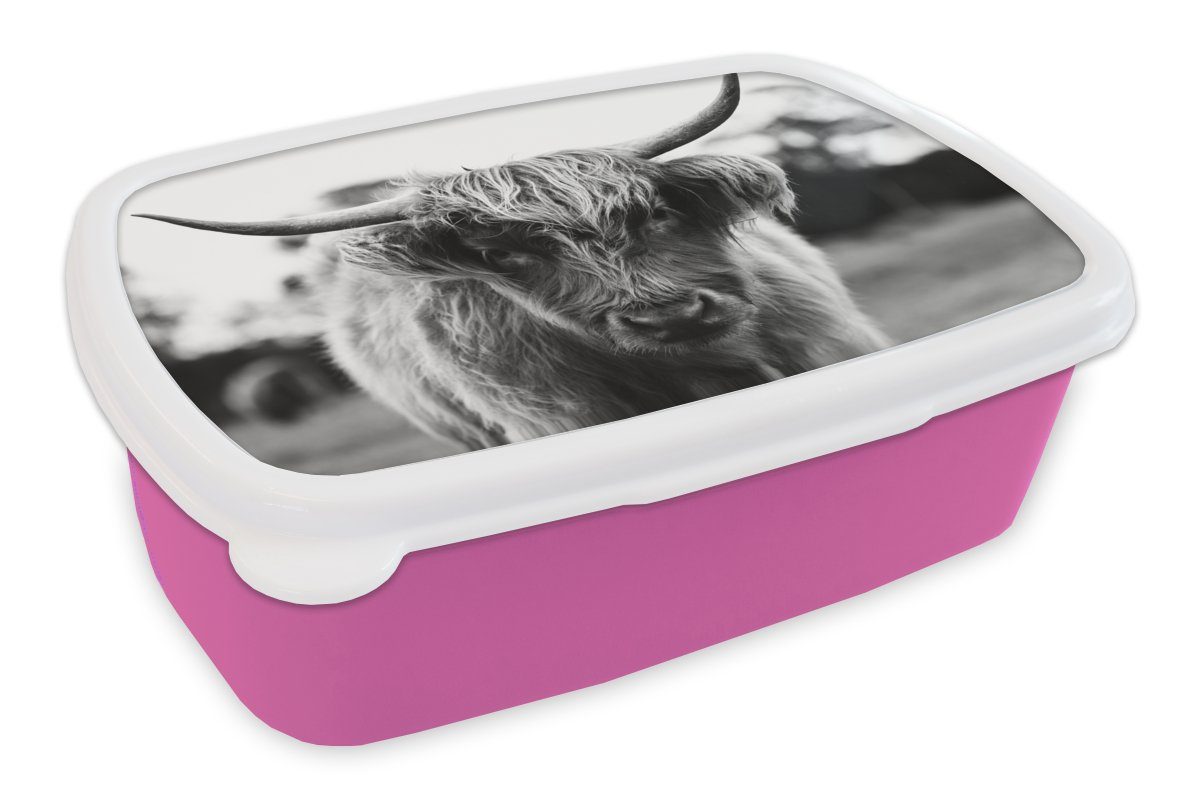 MuchoWow Lunchbox Schottischer Highlander - Kuh - Gras - Tiere - Natur, Kunststoff, (2-tlg), Brotbox für Erwachsene, Brotdose Kinder, Snackbox, Mädchen, Kunststoff rosa