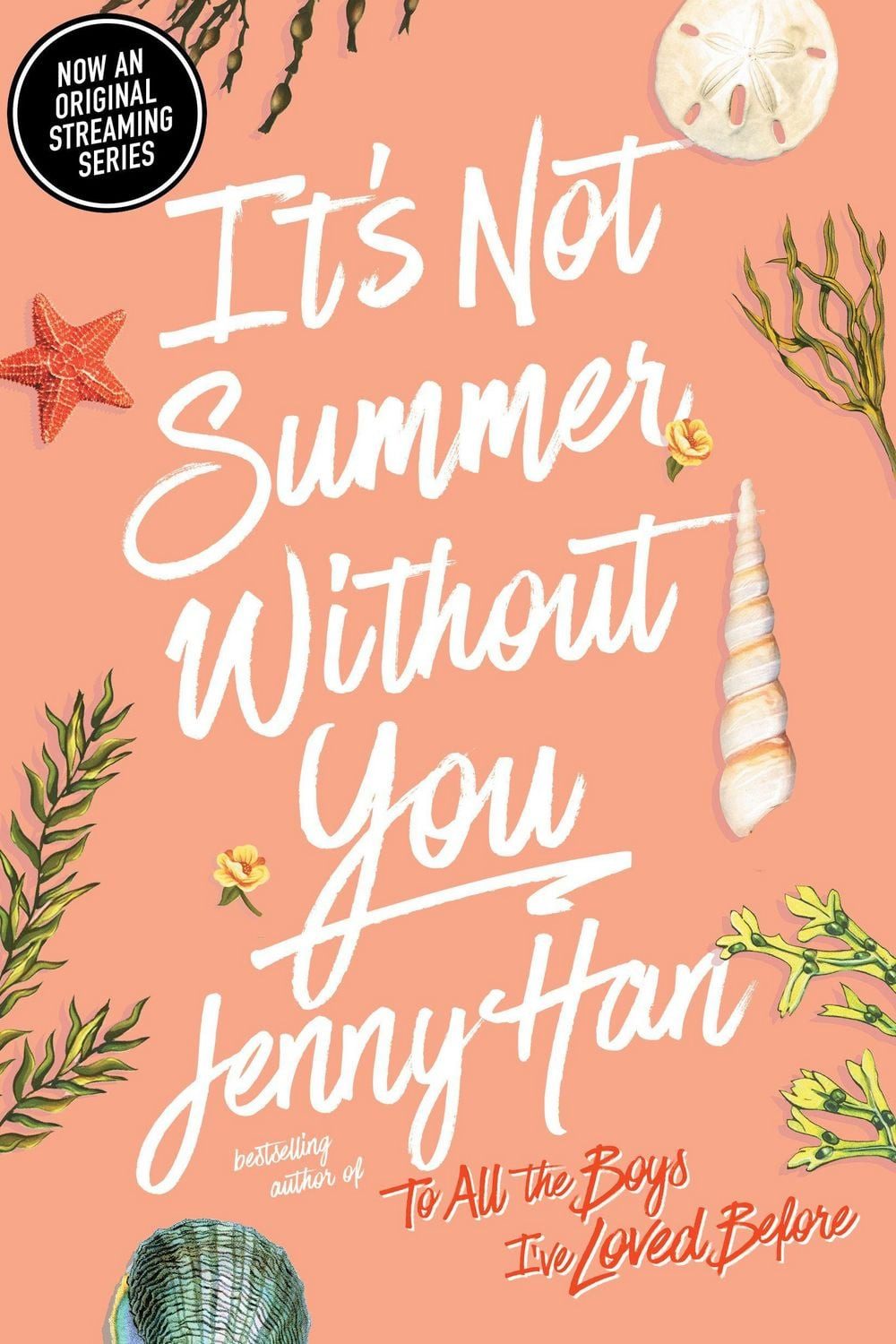 It's Not Summer Without You / Jenny Han