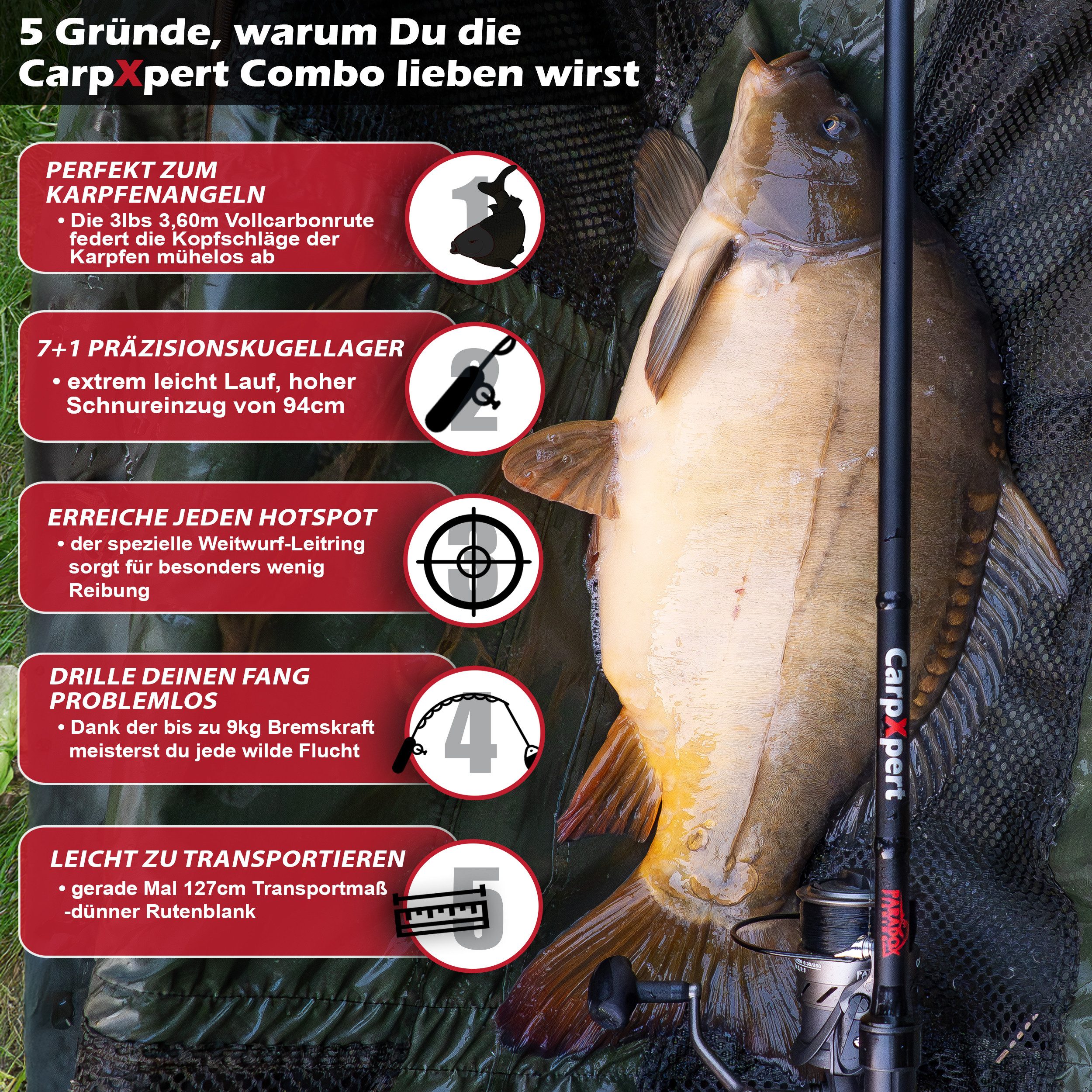 Paradox Fishing Karpfenrute CapXpert 3,60m lbs mit 5000 Carp Runner Freilaufrolle, 12ft