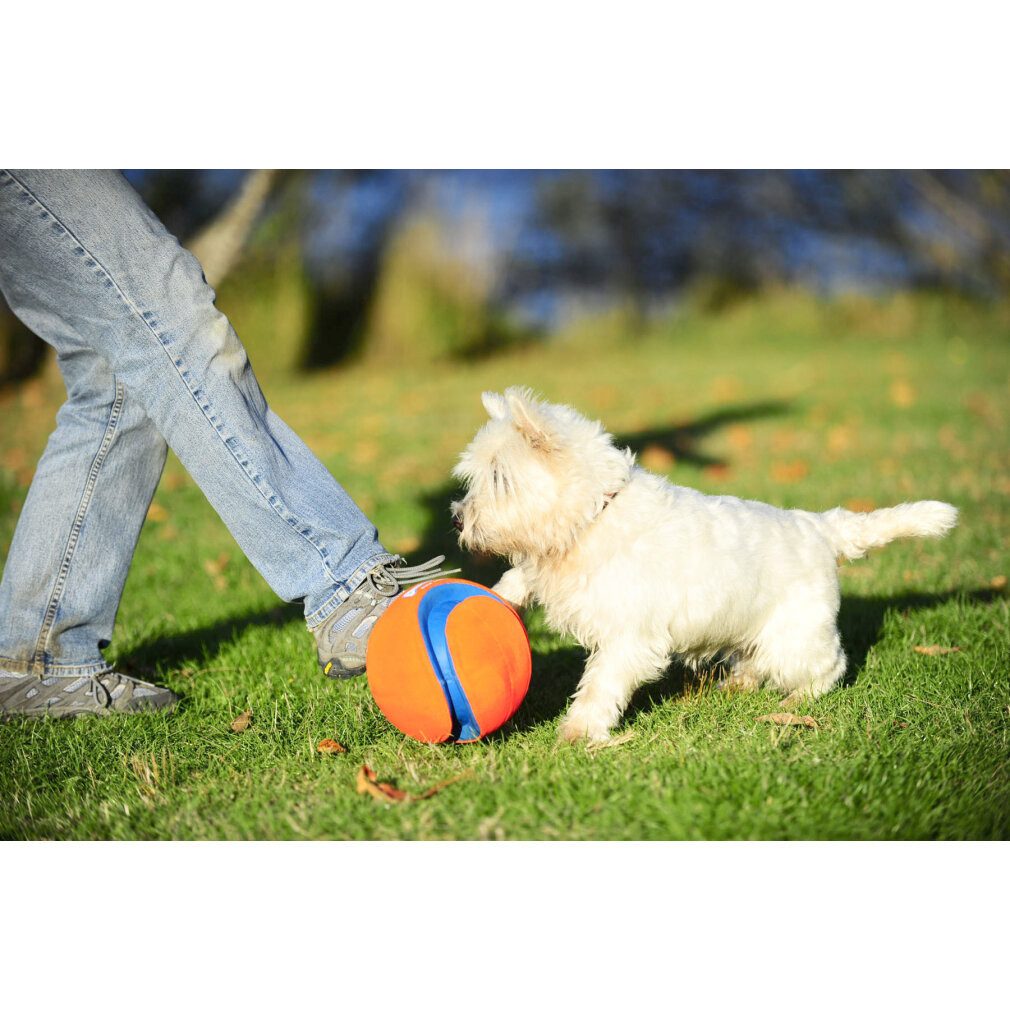 Chuckit Tierball Kick Fetch S 14 cm