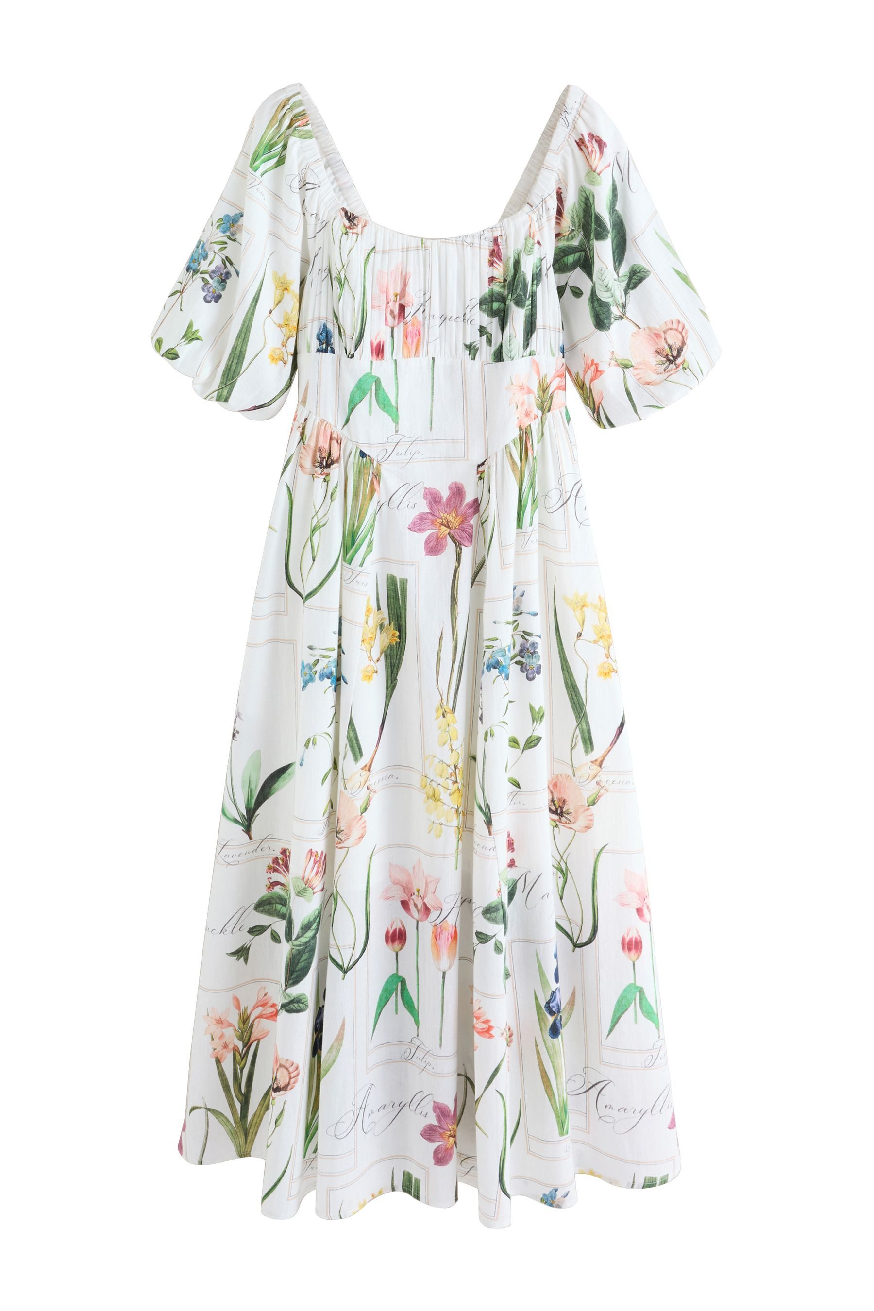 Next Midikleid Midikleid mit Puffärmeln (1-tlg)